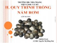 Bài giảng Quy trình trồng nấm rơm