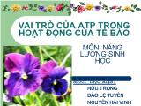 Bài giảng Vai trò của atp trong hoạt động của tế bào