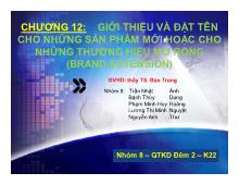 Bài thảo luận Chương 12: giới thiệu và đặt tên cho những sản phẩm mới hoặc cho những thương hiệu mở rộng (brand extension)