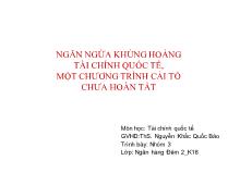 Bài thảo luận Ngăn ngừa khủng hoảng tài chính quốc tế, một chương trình cải tổ chưa hoàn tất