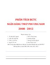 Bài thảo luận Phân tích báo cáo tài chính ngân hàng thương mại cổ phần Phương Nam 2008 - 2012