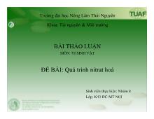 Bài thảo luận Quá trình nitrat hoá