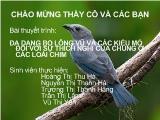 Bài thuyết trình: đa dạng bộ lông vũ và các kiểu mỏ đối với sự thích nghi của chúng ở các loài chim