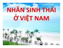 Bài thuyết trình Nhãn sinh thái ở Việt Nam