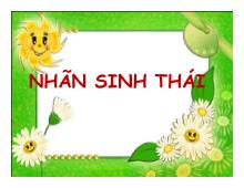 Bài thuyết trình Nhãn sinh thái