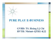 Bài thuyết trình Pure play e-Business