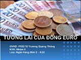 Bài thuyết trình Tương lai của đồng euro