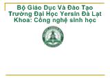 Bài thuyết trình Vai trò của sucrose và sự khác nhau của cytokinin trong ống nghiệm đối với sự phát sinh hình dạng của hoa hồng (hybrid trà) cv