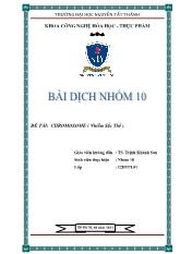 Báo cáo CHROMOSOME ( Nhiễm Sắc Thể )