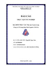 Báo cáo Thực tập: nhà máy luyện gang công ty cổ phần gang thép thái nguyên (tisco)
