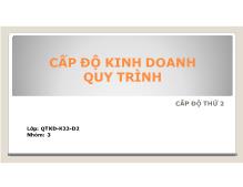 Đề tài Cấp độ kinh doanh quy trình