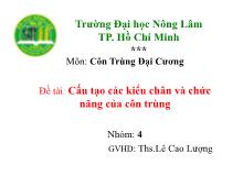 Đề tài Cấu tạo các kiểu chân và chức năng của côn trùng