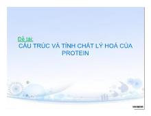 Đề tài Cấu trúc và tính chất lý hoá của protein