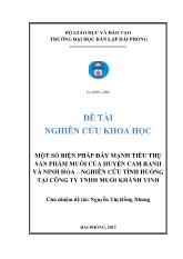 Đề tài Một số biện pháp đẩy mạnh tiêu thụ sản phẩm muối của huyện cam ranh và ninh hòa – nghiên cứu tình huống tại công ty TNHH muối Khánh Vinh