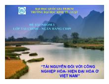 Đề tài Tài nguyên đối với công nghiệp hóa-Hiện đại hóa ở Việt Nam