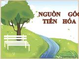 Đề tài Tìm tư liệu giải phẫu để chứng minh và phân tích về sự tiến hóa của sinh giới