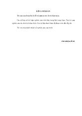 Đề tài Vận dụng quy trình cấp tín dụng của ngân hàng TMCP Công thương Việt Nam-Chi nhánh Hồng Bàng để xác định hạn mức tín dụng cho công ty cổ phần Tuấn Nguyệt