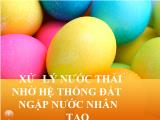 Đề tài Xử lý nước thải nhờ hệ thống đất ngập nước nhân tạo