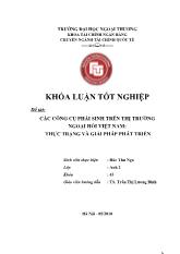 Khóa luận Các công cụ phái sinh trên thị trường ngoại hối Việt Nam: thực trạng và giải pháp phát triển