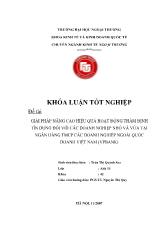 Khóa luận Giải pháp nâng cao hiệu quả hoạt động thẩm định tín dụng đối với các doanh nghiệp nhỏ và vừa tại ngân hàng tmcp các doanh nghiệp ngoài quốc doanh Việt Nam (vpbank)