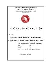 Khóa luận Quản trị rủi ro tín dụng tại Ngân hàng thương mại cổ phần Ngoại thương Việt Nam