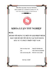 Khóa luận Rủi ro tín dụng và một số giải pháp nhằm hạn chế rủi ro tín dụng tại ngân hàng đầu tư và phát triển Việt Nam