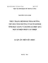 Luận án Thực trạng bệnh đái tháo đường, tiền đái tháo đường ở người khmer tỉnh hậu giang và đánh giá hiệu quả một số biện pháp can thiệp