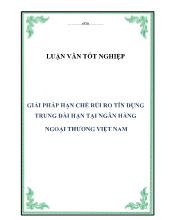 Luận văn Giải pháp hạn chế rủi ro tín dụng trung dài hạn tại ngân hàng ngoại thương Việt Nam