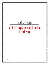 Tiểu luận Các định chế tài chính