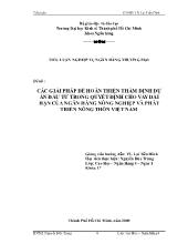 Tiểu luận Các giải pháp để hoàn thiện thẩm định dự án đầu tư trong quyết định cho vay dài hạn của ngân hàng nông nghiệp và phát triển nông thôn Việt Nam