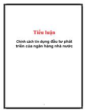 Tiểu luận Chính sách tín dụng đầu tư phát triển của ngân hàng nhà nước