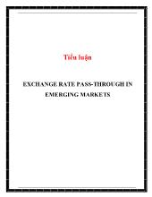 Tiểu luận Exchange rate pass-Through in emerging markets