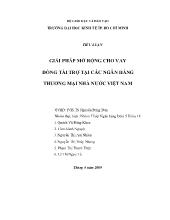 Tiểu luận Giải pháp mở rộng cho vay đồng tài trợ tại các ngân hàng thương mại nhà nước Việt Nam