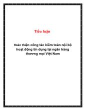 Tiểu luận Hoàn thiện công tác kiểm toán nội bộ hoạt động tín dụng tại ngân hàng thương mại Việt Nam