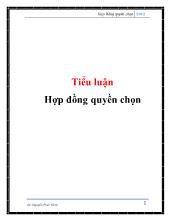 Tiểu luận Hợp đồng quyền chọn