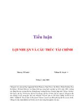 Tiểu luận Lợi nhuận và cấu trúc tài chính