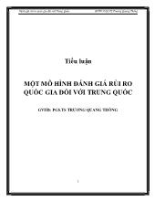 Tiểu luận Một mô hình đánh giá rủi ro quốc gia đối với Trung Quốc