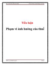 Tiểu luận Phạm vi ảnh hưởng của thuế