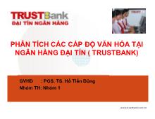 Tiểu luận Phân tích các cấp độ văn hóa tại ngân hàng đại tín ( trustbank)