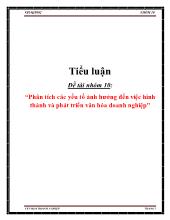 Tiểu luận Phân tích các yếu tố ảnh hưởng đến việc hình thành và phát triển văn hóa doanh nghiệp