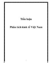 Tiểu luận Phân tích kinh tế Việt Nam