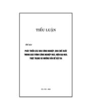 Tiểu luận Phát triển các khu công nghiệp khu chế xuất trong quá trình công nghiệp hóa hiện đại hóa, thực trạng và giải pháp