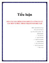 Tiểu luận Tài chính tổng hợp của công ty có các đơn vị trực thuộc hạch toán độc lập