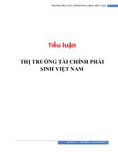 Tiểu luận Thị trường tài chính phái sinh Việt Nam