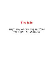 Tiểu luận Thực trạng của thị trường tài chính ngân hàng