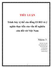 Tiểu luận Trình bày vị thế của đồng EURO và ý nghĩa thực tiễn của vấn đề nghiên cứu đối với Việt Nam