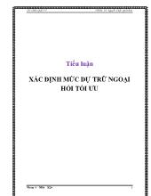 Tiểu luận Xác định mức dự trữ ngoại hối tối ưu