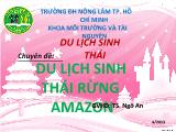 Chuyên đề Du lịch sinh thái rừng amazon