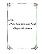 Phân tích hiệu quả hoạt động kinh doanh