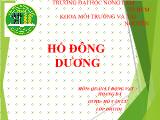 Quản lý động vật hoang dã: Hổ Đông Dương